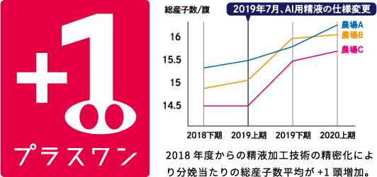 プラスワン 2018年度からの精液加工技術の精密化により分娩当たりの総産子数平均が+1頭増加。